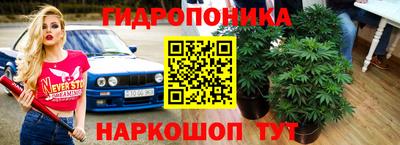 мдпв Мариинск